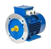 Электродвигатель трехфазный асинхронный 56A2 0,18/3000 2081