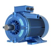Электродвигатель трехфазный асинхронный 100L8 1,5/750 1081